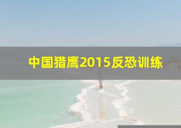 中国猎鹰2015反恐训练