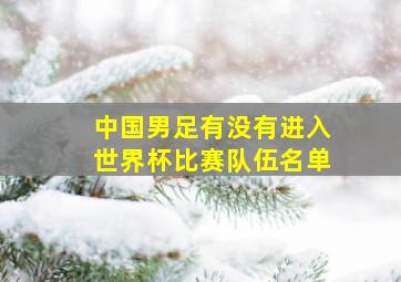 中国男足有没有进入世界杯比赛队伍名单