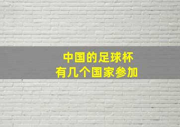 中国的足球杯有几个国家参加