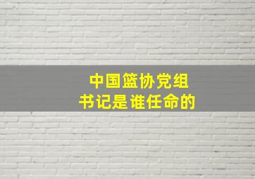 中国篮协党组书记是谁任命的