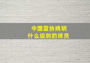 中国篮协姚明什么级别的球员