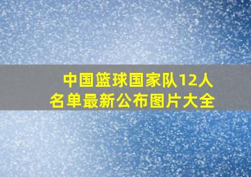 中国篮球国家队12人名单最新公布图片大全