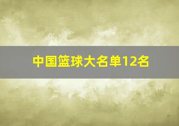 中国篮球大名单12名