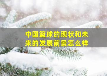 中国篮球的现状和未来的发展前景怎么样