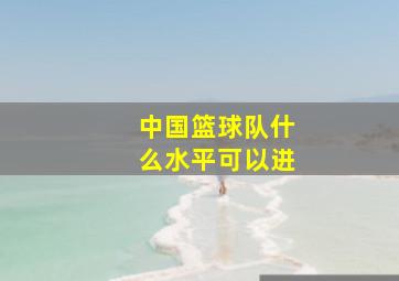 中国篮球队什么水平可以进