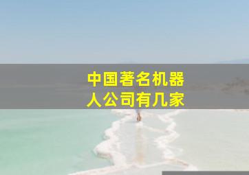 中国著名机器人公司有几家