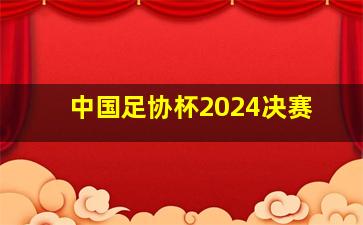 中国足协杯2024决赛