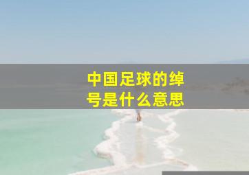 中国足球的绰号是什么意思