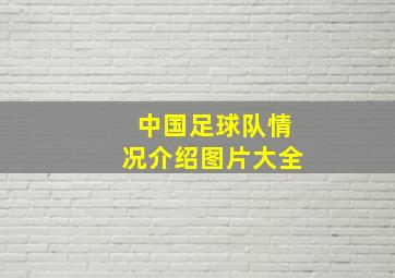 中国足球队情况介绍图片大全