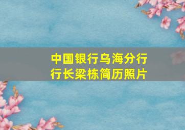 中国银行乌海分行行长梁栋简历照片