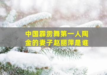 中国霹雳舞第一人陶金的妻子赵丽萍是谁