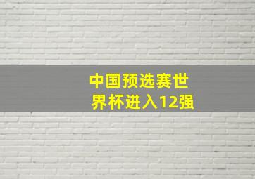 中国预选赛世界杯进入12强