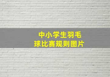 中小学生羽毛球比赛规则图片