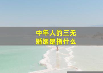 中年人的三无婚姻是指什么