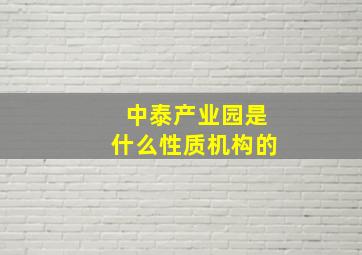 中泰产业园是什么性质机构的