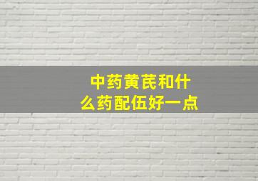 中药黄芪和什么药配伍好一点