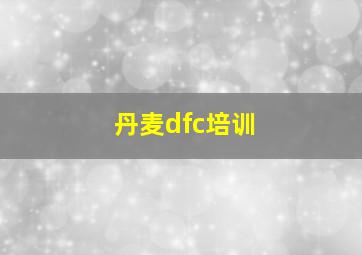 丹麦dfc培训