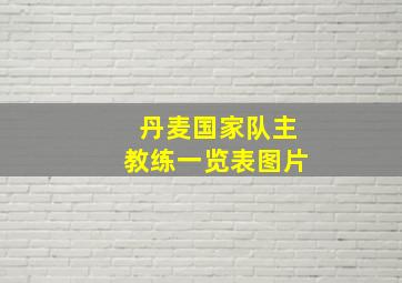 丹麦国家队主教练一览表图片