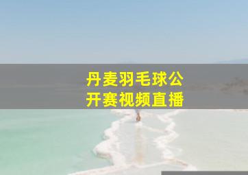 丹麦羽毛球公开赛视频直播