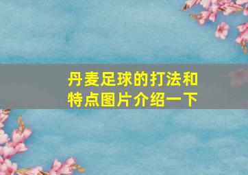 丹麦足球的打法和特点图片介绍一下