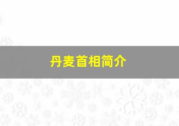 丹麦首相简介