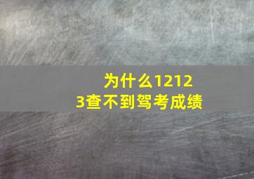 为什么12123查不到驾考成绩