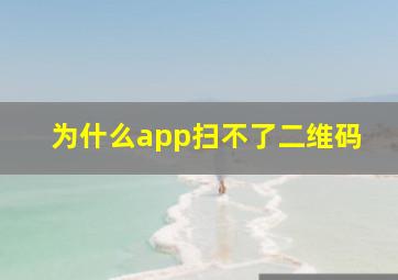 为什么app扫不了二维码