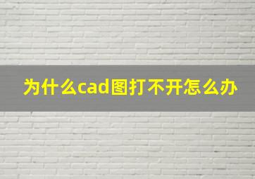 为什么cad图打不开怎么办