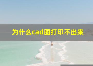 为什么cad图打印不出来