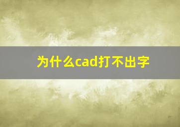 为什么cad打不出字