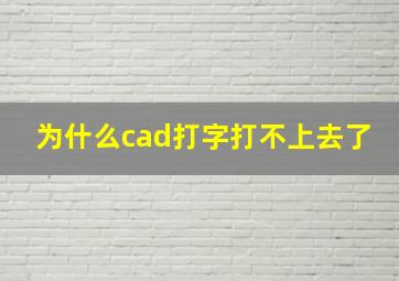 为什么cad打字打不上去了