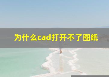 为什么cad打开不了图纸