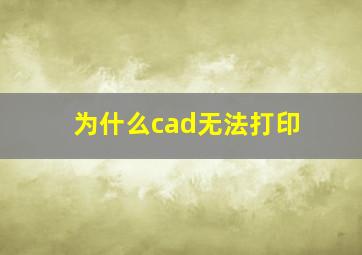 为什么cad无法打印