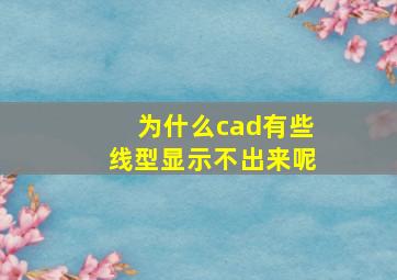 为什么cad有些线型显示不出来呢