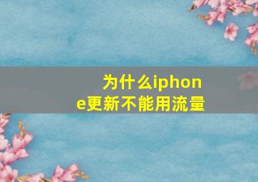 为什么iphone更新不能用流量