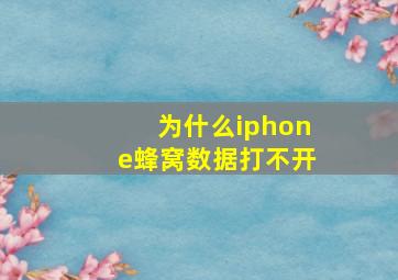 为什么iphone蜂窝数据打不开