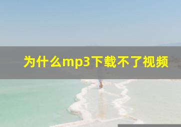 为什么mp3下载不了视频