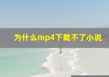 为什么mp4下载不了小说