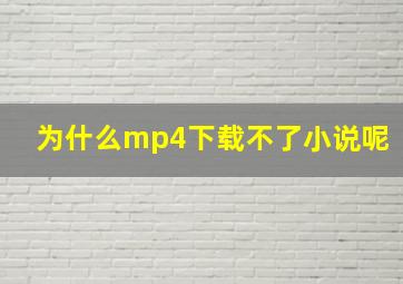 为什么mp4下载不了小说呢