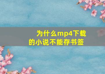 为什么mp4下载的小说不能存书签