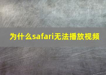 为什么safari无法播放视频