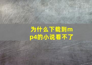 为什么下载到mp4的小说看不了