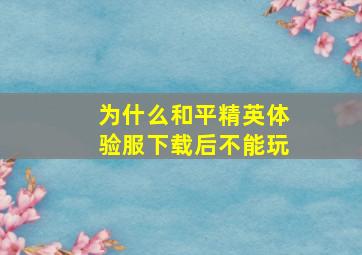 为什么和平精英体验服下载后不能玩