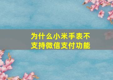 为什么小米手表不支持微信支付功能