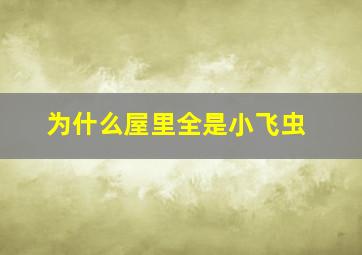 为什么屋里全是小飞虫