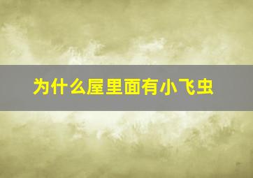 为什么屋里面有小飞虫