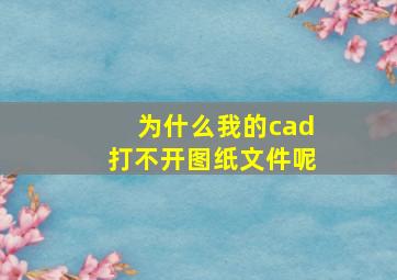 为什么我的cad打不开图纸文件呢