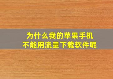 为什么我的苹果手机不能用流量下载软件呢