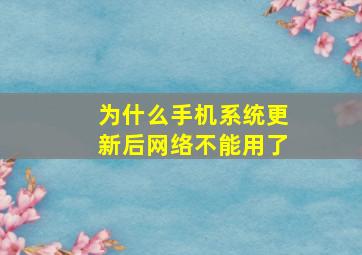 为什么手机系统更新后网络不能用了