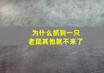 为什么抓到一只老鼠其他就不来了